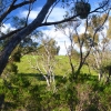 Australia - Bakers Gully