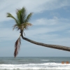 Zdjęcie ze Sri Lanki - 
