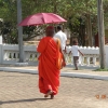 Zdjęcie ze Sri Lanki - 