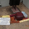 Zdjęcie ze Sri Lanki - 