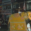 Zdjęcie ze Sri Lanki - 
