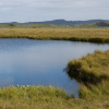 Zdjęcie z Islandii - Myvatn