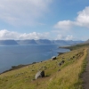 Zdjęcie z Islandii - Westfjords