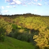 Zdjęcie z Australii - Onkaparinga Gorge