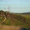 Zdjęcie z Australii - Onkaparinga Gorge