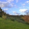 Australia - Onkaparinga Gorge