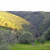 Zdjęcie z Australii - Onkaparinga Gorge