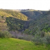 Zdjęcie z Australii - Onkaparinga Gorge