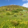 Wzgorze The Bluff 