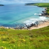 Zatoczka Petrel Cove,
