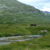 Zdjęcie z Norwegii - 
