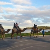 Zdjęcie z Australii - Victor Harbor