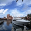 Zdjęcie z Bahamów - Bahamy Paradise Island