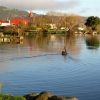 Zdjęcie z Nowej Zelandii - Poranek w Rotorua