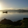 Zdjęcie z Nowej Zelandii - Poranek w Rotorua