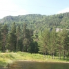 Zdjęcie z Norwegii - Dalen