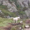 Zdjęcie z Norwegii - Kjerag