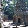 Zdjęcie z Kambodży - Ta Prohm