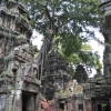 Zdjęcie z Kambodży - Ta Prohm