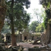 Zdjęcie z Kambodży - Ta Prohm