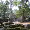 Zdjęcie z Kambodży - Ta Prohm