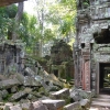 Zdjęcie z Kambodży - Ta Prohm