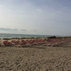 Zdjęcie z Hiszpanii - Plaża w Playa del Ingles - bladym świtem.