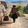 Zdjęcie z Peru - 