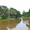 Zdjęcie z Kambodży - Rzeka Siem Reap River