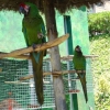 Zdjęcie z Hiszpanii - Marineland