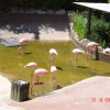 Zdjęcie z Hiszpanii - Marineland