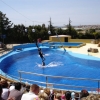 Zdjęcie z Hiszpanii - Marineland