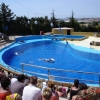 Zdjęcie z Hiszpanii - Marineland