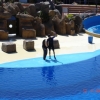 Zdjęcie z Hiszpanii - Marineland