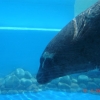 Zdjęcie z Hiszpanii - Marineland