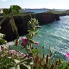 Wielka Brytania - Kornwalia, Newquay