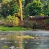 Zdjęcie z Kambodży - Preah Khan