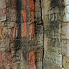 Zdjęcie z Kambodży - Bayon