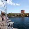 Zdjęcie z Antyli Holenderskich - Willemstad CURACAO