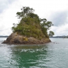 Zdjęcie z Nowej Zelandii - Jedna z wielu wysepek na Bay of Islands