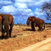 Kenia - Malindi