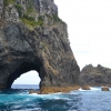 Zdjęcie z Nowej Zelandii - Motukokako czyli Hole in the Rock