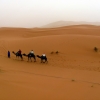 Zdjęcie z Maroka - Erg Chebbi.