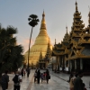 Zdjęcie z Birmy - Rangun, pagoda Shwedagon