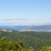 Zdjęcie z Nowej Zelandii - Okolice Coromandel