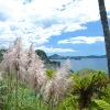 Zdjęcie z Nowej Zelandii - Cathedral Cove