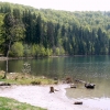 Zdjęcie z Rumunii - Jezioro św.Anny