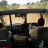 Zdjęcie z Kenii - jedziemy na kolejne safari; Julius prowadzi, Krysia gada...:)