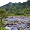 Zdjęcie z Nowej Zelandii - Gdzies w drodze z Coromandel do Rotorua