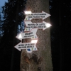 Zdjęcie z Rumunii - Poiana Brasov